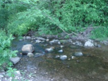 River stones